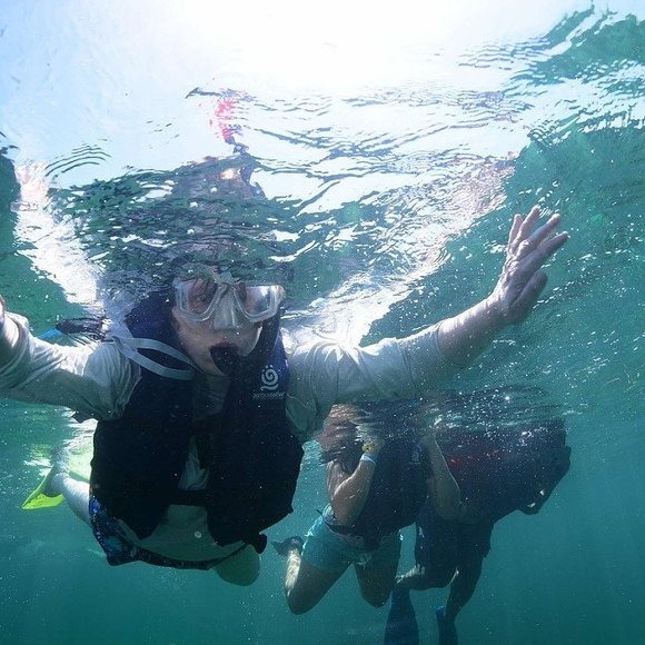 Profile Picture of Renee Blumenthal (@labvolks) on Poshmark