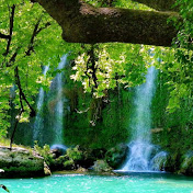 Profile Picture of Jogbal Dhing (@jogbaldhing5988) on Youtube