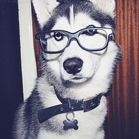 Profile Picture of Derek Nocera (@DerekNocera) on Twitter