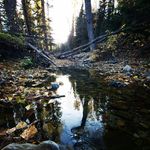 Profile Picture of James Loewen (@james_loener) on Instagram