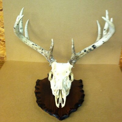 Profile Picture of Mike Tackett (@mr_hunter6698) on Twitter