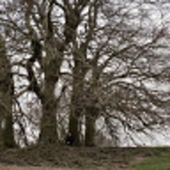 Jade Wagner - Poshmark Profile Picture of Jade Wagner (@jadewagner354) on Poshmark