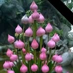 Profile Picture of Yolanda Tejeda (@Yolanda-Tejeda) on Facebook