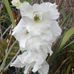 Profile Picture of Muriel Bates (@muriel.bates.562) on Facebook