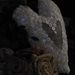 Profile Picture of Lori Poole (@lalapoole) on Pinterest