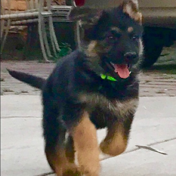 Profile Picture of Noel Serrano (@noel_serrano) on Poshmark