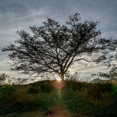 Profile Picture of Luis Angel Arellano Arciga (@LuisAng90360638) on Twitter