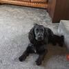 Profile Picture of Dawn Peers (@@user5620232493994) on Tiktok