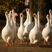 Profile Picture of James Gripps (@jamesgripps) on Pinterest