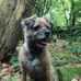 Profile Picture of John Nash (@john.nash.562) on Facebook