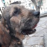 blade_sanchez - Instagram Profile Picture of blade_sanchez (@bladesa_nchez) on Instagram