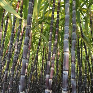 Profile Picture of Haining (@henin86) on Myspace