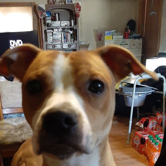 Profile Picture of Jeffrey Zimmerman (@jeffreyzimmerma) on Poshmark