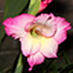 Profile Picture of John Cook (@john cook 4) on Flickr