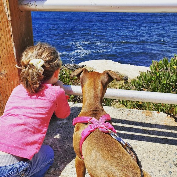 Profile Picture of Madelyn Kullbom (@madelynkullbom) on Poshmark