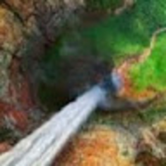 Profile Picture of Alessia Badagliacca (@abadagliacca) on Poshmark