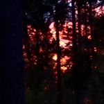 Profile Picture of aaron (@aaron_grosse.4562) on Instagram