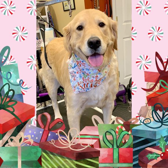 Profile Picture of Jacqueline Hicks (@jackie15074) on Poshmark