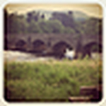 Profile Picture of Alice Palmer (@alice palmer) on Flickr