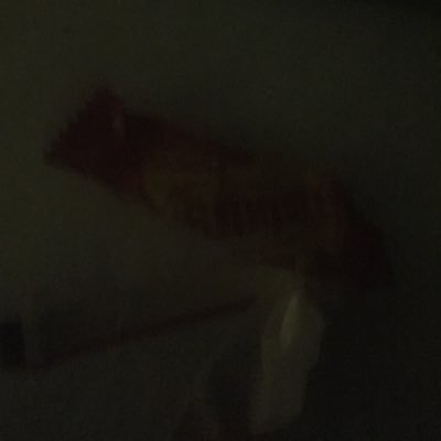 Profile Picture of Gabriel Luke Johnson (@Joh1Luke) on Twitter