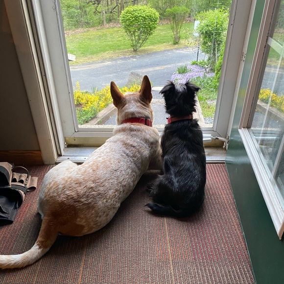 Profile Picture of David Doppler (@daviddoppler) on Poshmark