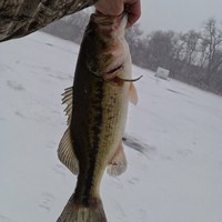 Profile Picture of Cory Steffen (@cory-steffen-7) on Quora