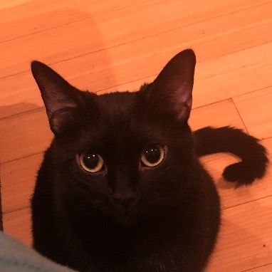 Profile Picture of ✨Alice✨ (@aliciaga2468) on Tiktok