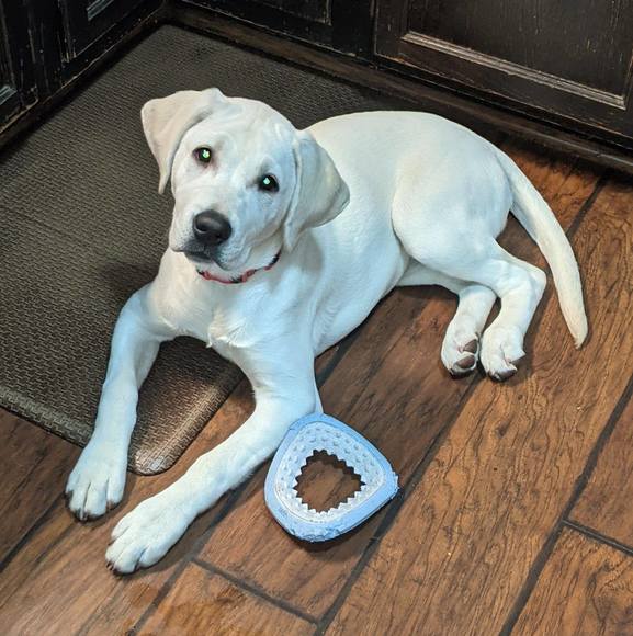 Profile Picture of Dougdesiree Darland (@desireedarland) on Poshmark