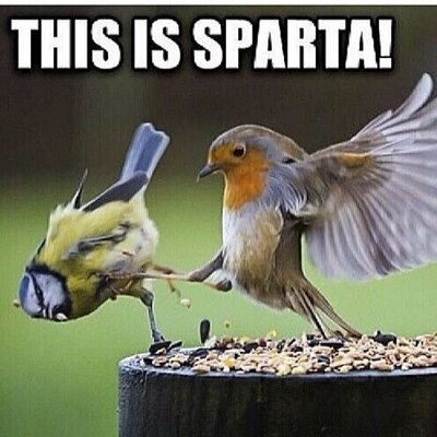 Profile Picture of Sean Lassiter (@sean_lassiter) on Twitter