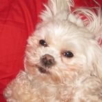 Profile Picture of Allyson Palmeter (@allyson.palmeter.5) on Facebook