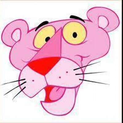 Profile Picture of Andrea Sefler (@DrSefler) on Twitter