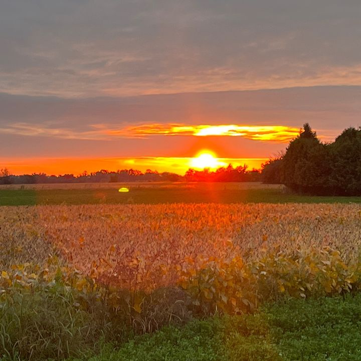 Profile Picture of Charlotte Coleman (@charlotte_coleman_1018) on Tiktok