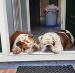 Profile Picture of Ronald Kilwinger (@ronald.kilwinger) on Facebook