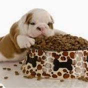 Profile Picture of Pierre Rivera (@CoachFacha) on Youtube