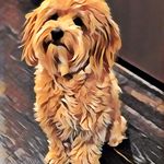 Profile Picture of Nancy Consolloy (@nancyconsolloy) on Instagram