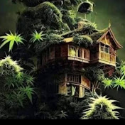 Profile Picture of Jason Broomes (@jasonbroomes8424) on Youtube