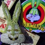 Profile Picture of Daniel Shuey (@bigpoppapuff420) on Instagram