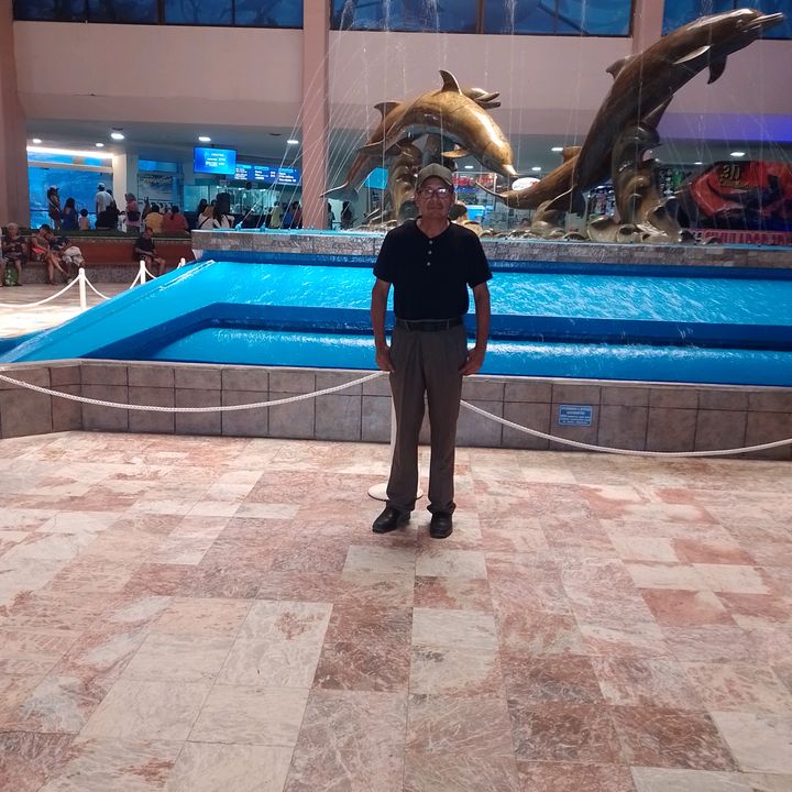 Profile Picture of Robert (@robertmalaga1) on Tiktok