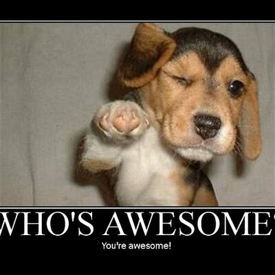 Profile Picture of Andrew Denyer (@AwesomeKIWI11) on Twitter