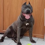 Profile Picture of STEVEN HARRISON (@steven_harrison2020) on Instagram