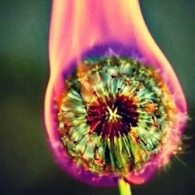 Profile Picture of Andrew Straub (@that_brit) on Twitter