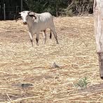 Profile Picture of Lucio Cervantes (@lucio.cervantes.489110) on Facebook