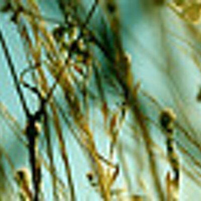 Profile Picture of David Hodson (@DavidHodson6) on Twitter