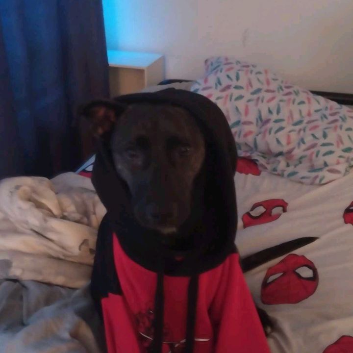 Profile Picture of Andrew Clowate (@andrew.clowater) on Tiktok