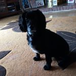 Profile Picture of francis (@francis.fitzpatrick) on Instagram