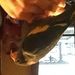 Profile Picture of Nancy Graebert (@darwin248) on Pinterest