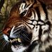 Profile Picture of Robert Cwikiel (@robert.cwikiel) on Facebook