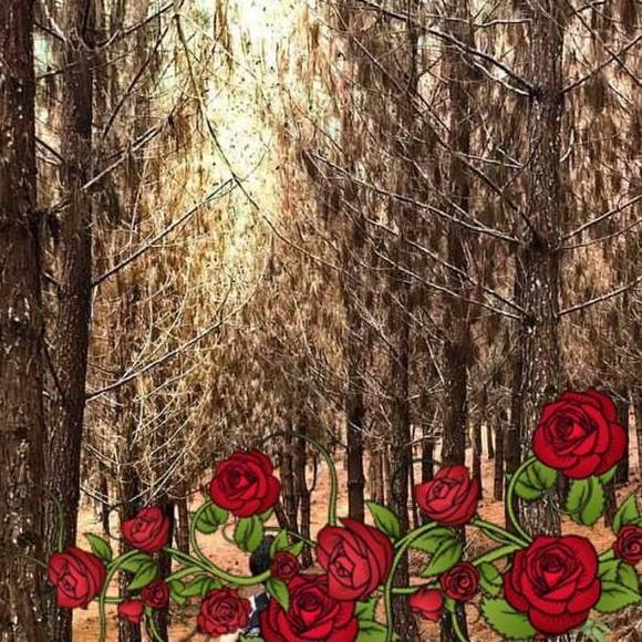 Profile Picture of Clara Gonzalez (@clara_gonzalez) on Poshmark