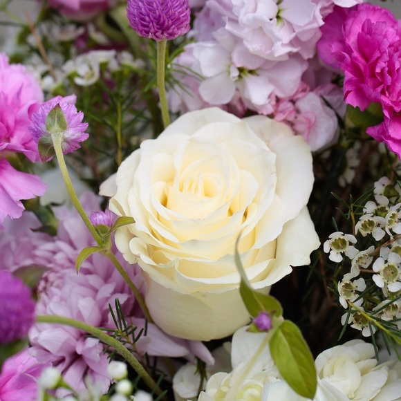 Profile Picture of Marcela Oliver (@luamah) on Poshmark