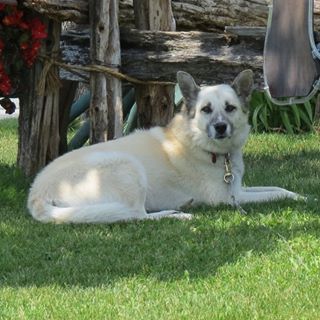 Profile Picture of Claude Tanguay (@claude.tanguay.3344) on Facebook